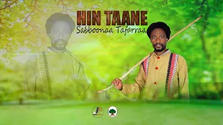 HIN TAANE by Sabboonaa Tafarraa new oromo music 2024