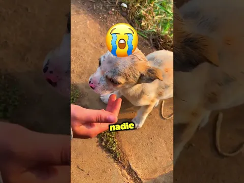 Épica Broma de la Puerta del Garaje al Nuevo Auto de la Hermana! 🚗😂