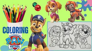 Coloring PAW Patrol. Skye, Chase and Zuma. Coloring pages #pawpatrol #coloring #kidsvideo