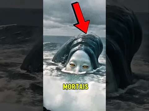 Essas São As 4 Criaturas Marinhas Mais Mortais Que Habitam As Profundezas Do Mar! 😱