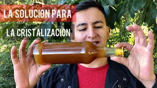 Cómo recuperar miel cristalizada sin dañar sus propiedades