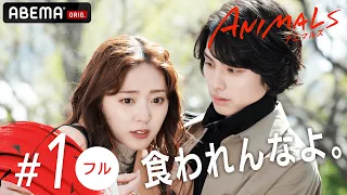 【1話フル】最悪の出会い、何か変わる予感...!?🐯💄ドラマ【ANIMALS-アニマルズ-】アベマで全話配信中！