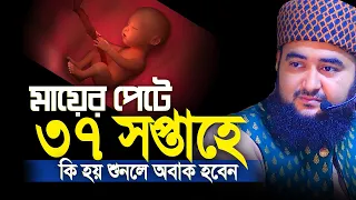 মায়ের পেটে ৩৭ সপ্তাহে কি হয় জানেন শুনলে অবাক হবেন। Mustafiz rahmani