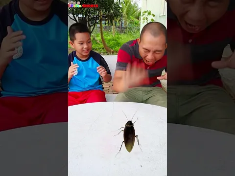 BiBoBen #Shorts | Funny game 🤣 | Trò chơi ai nhanh tay hơn 🥳