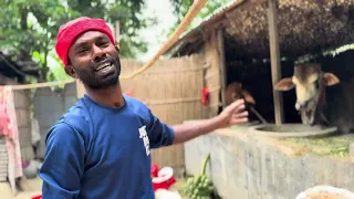 কৃষি কাজের পাশাপাশি গবাদি পশুর লালন পালন🌱🙂#monirul #farmer #foryou #highlights #viralvideo
