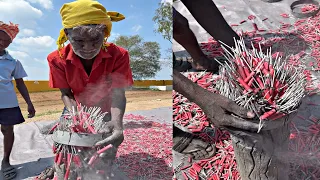 क्या आप जानते हैं पटाखे कैसे बनते हैं😱 How Firecrackers Are Made Inside Factory