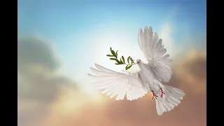 Directo con un cartel 🪧 con mensaje de paz ✌️