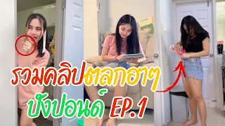 รวมคลิปฮาๆปังปอนด์ EP.1