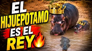 Si te perdiste alguno aquí están los más vistos 