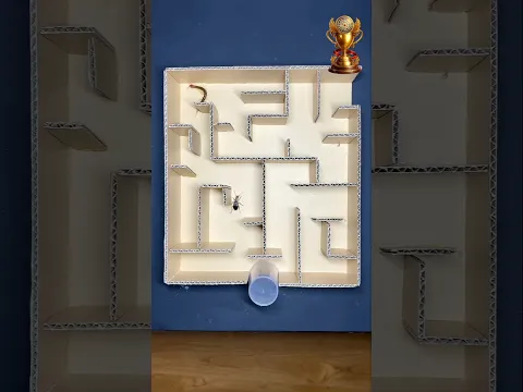 বিছা ও আরশোলার মধ্যে কে জিতবে#shorts