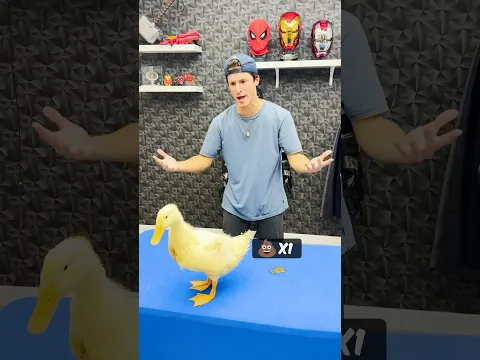 ¿Cuantas Veces Se Hace Popo Mi Pato En 10 Minutos? 😱💩