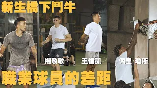 新生橋下鬥牛，職業球員上場，今晚強度已經太高！