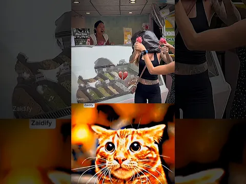 give this video title (warning answer) #cat #meme #dance #trending
