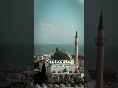 تم تحرير فلسطين 🇵🇸
