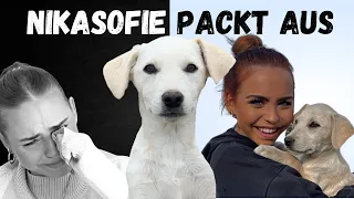 Die Wahrheit über den Hund von @Nikasofiee