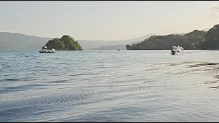 AQUI NO HAY DESMADRE SOLO PESZCA