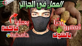 تجربتي الكاملة مع العمل في الجزائر💵🥷واش كنت نخدم كي كنت صغير؟