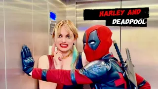 Harley and Deadpool. The best. Part 2