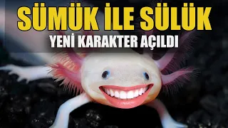 #KÇ7 AXOLOTL TAYFA BURADA! EV İNŞASINA BAŞLADIK. BOL BOL KARGO AÇILIMI!