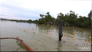 EP346-Part1 - Palapad-Lambat pang Alimango | Mixed Seafood Catch & Cook | Occ. Mindoro