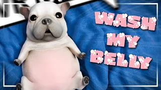 PIBBLE WASH MY BELLY - VRCHAT Funny Moments