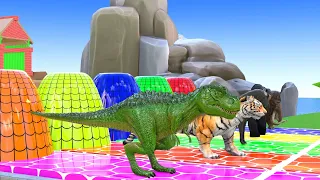 Long Slide 3D Game With Elephant Gorilla Horse Trex And Lion | Zoova 3D