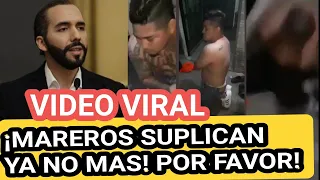 VIDEO VIRAL PIDEN YA NO MAS A NAYIB BUKELE