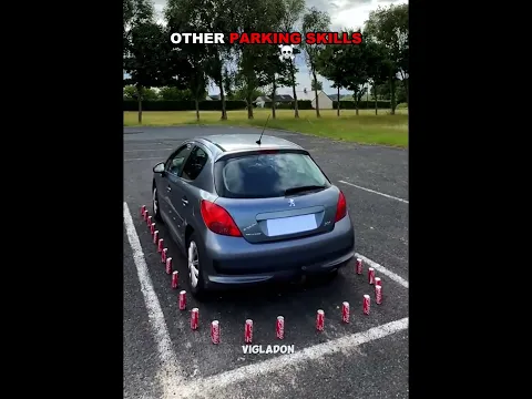 Other Parking Skills vs This One 🚗😱
