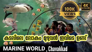 ഇന്ത്യയിലെ ഏറ്റവും വലിയ Aquarium.  MARINE WORLD, CHAVAKKAD, THRISSUR