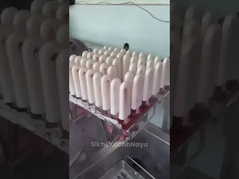 देखिए Factory में Chocobar आइसक्रीम कैसे बनती है | By Sikhe kuchh Naya