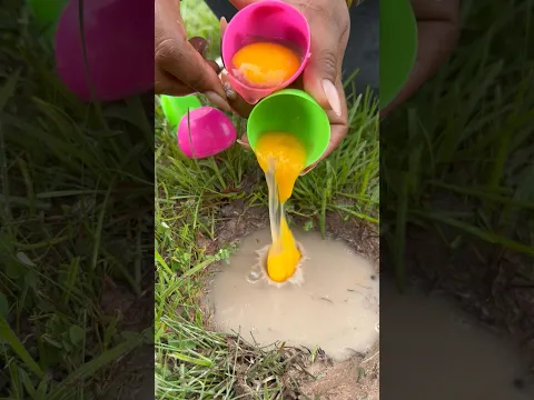Survival skills: SMART and idea Useful in forest #survival #outdoors #skills #crab