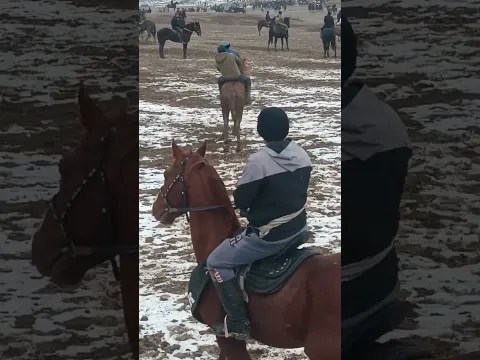 🤣🤩🐎🐴🤩😁🤣#rek #uloq #uloq_kokpari