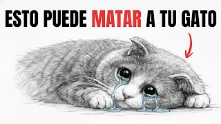 Los gatos de CASA están MURIENDO por esto ¡CUIDADO!