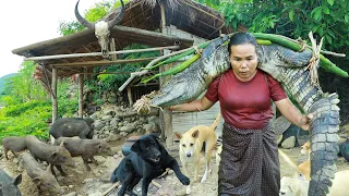 survival in the rainforest-found crocodile at night with luffa gourds for cook & give to pets HD