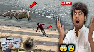 😲 Dangerous Real Junglee Dragon Lizard Pakar Liye? Etni Pass Se 😱🥵 Lekin...
