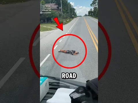 OMG‼️Why Is This Old Lady Lying on the Road⁉️😱
