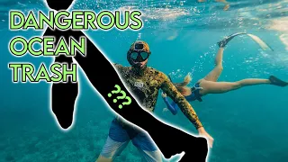 Diver Pulls Mystery Item from Reef