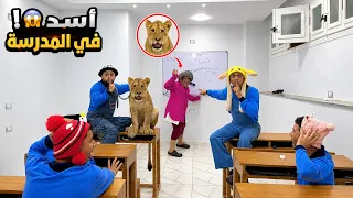 المعلمه الشريره انتقمنا منها وجبنالها أسد في الفصل!🦁😱🔥| السلسيلي _ اليماني 👑🦁