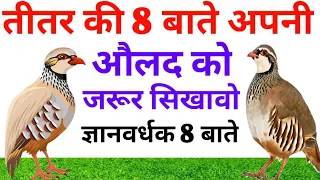 #तीतर की ये 8 बाते ||अपनी औलाद को जरुर सिखाऐ|| motivational Hindi story hindi kahani #teetarkikahani