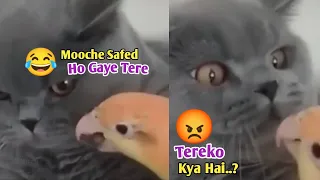 जनवारो के मजेदार करनामे | Funny Animals 🤣🤪