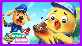 Não Brinque com Formiginhas 🐜 Dicas de Segurança 📝 Desenho Animado 🔍 Detetive Labrador