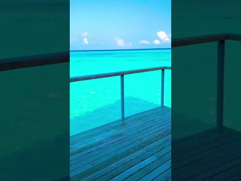 La habitación con la vista más bella 😍