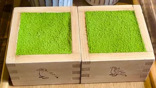 人生で一度は食べてほしい福岡の絶品グルメ10選✈️