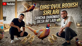 QIRG’OVUL BOQISH SIRLARI VA NARXLAR