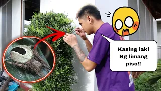 #314 GAANO NGA BA KALAKI ANG NAHULI NAMEN??