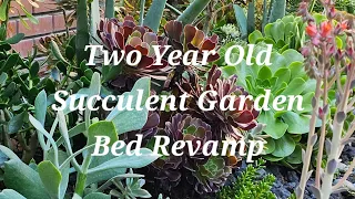 Day 1 Transformation: Succulent Garden Overhaul