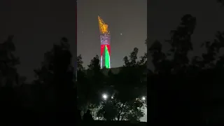 برج سباير يضيء بعلم فلسطين