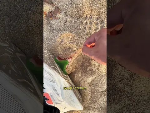 Kue Enak atau Kotoran? Kejutan Jijik di Sepatu🤯 🤢😱#shorts