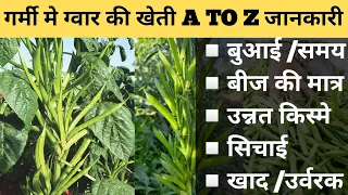ग्वार की खेती कैसे करे सम्पूर्ण जानकारी | ग्वार की खेती | Gwar Ki Kheti | Gawar Ki Kheti|