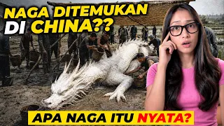 NAGA DITANGKAP DI CHINA? Bukti dari CINA Ini Bikin Dunia Bingung